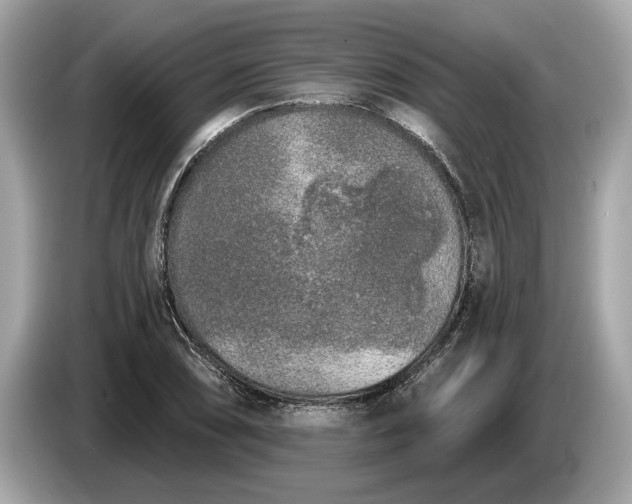 X0000085081074200703191319