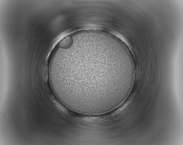 X0000085081075200703191319