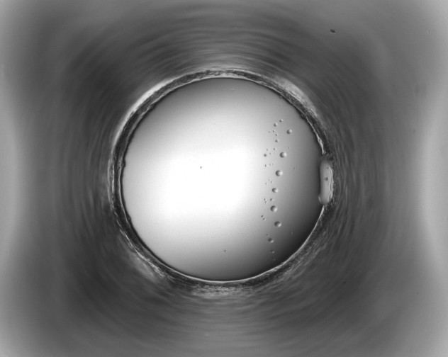 X0000085081076200703191319