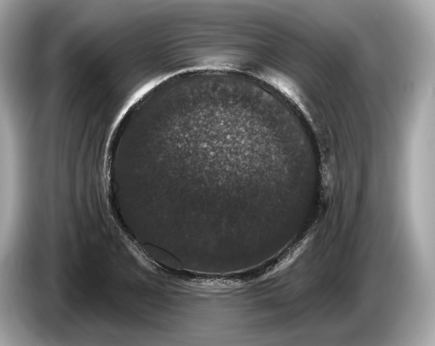 X0000085081077200703191319