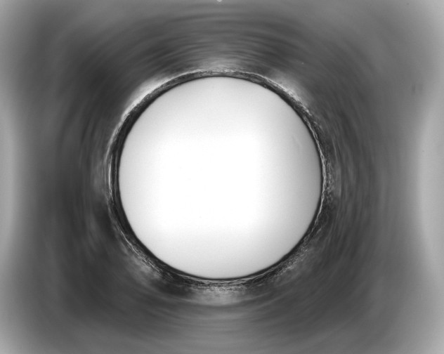 X0000085081078200703191319