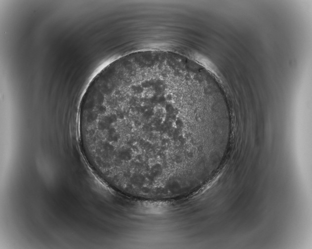 X0000085081079200703191319