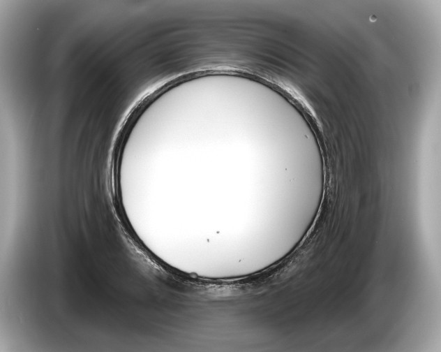 X0000085081080200703191319