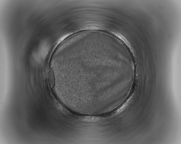 X0000085081081200703191319