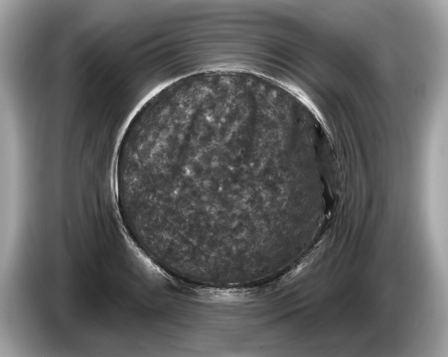 X0000085081084200703191318