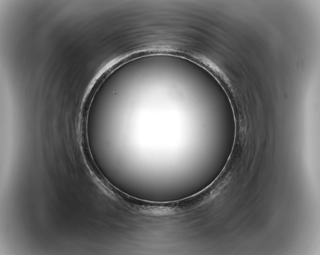 X0000085081085200703191318