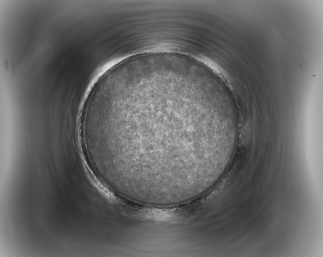 X0000085081086200703191318