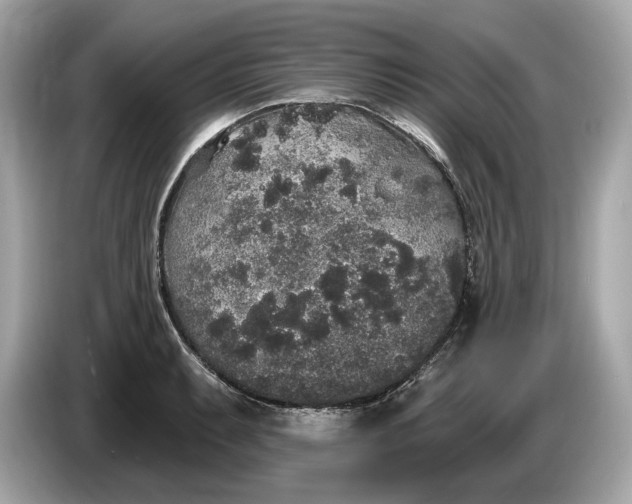 X0000085081087200703191318