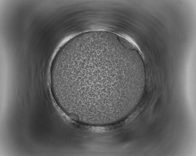 X0000085081088200703191318