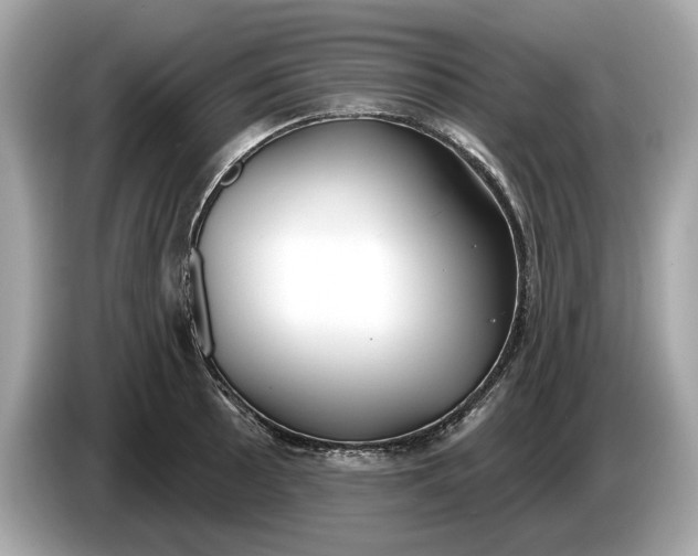 X0000085081089200703191318