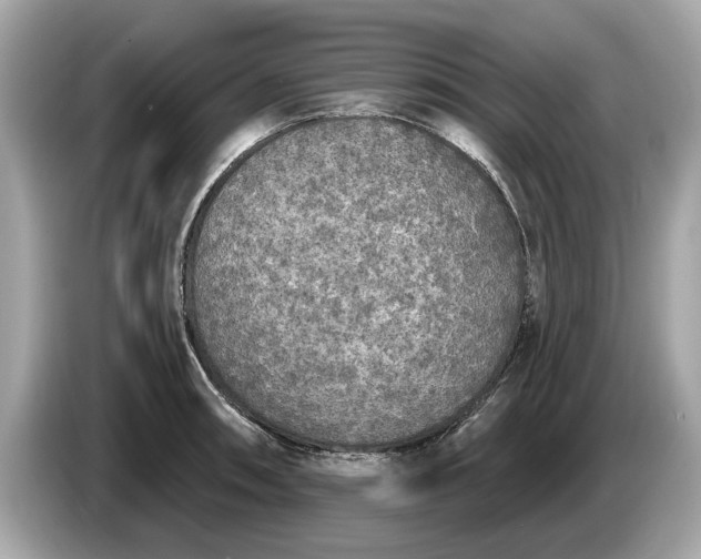 X0000085081090200703191318