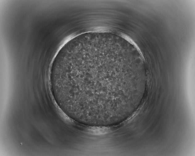 X0000085081091200703191318