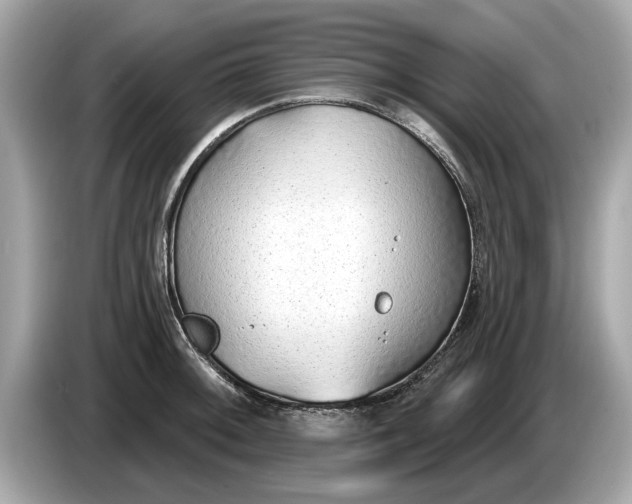 X0000085081092200703191318