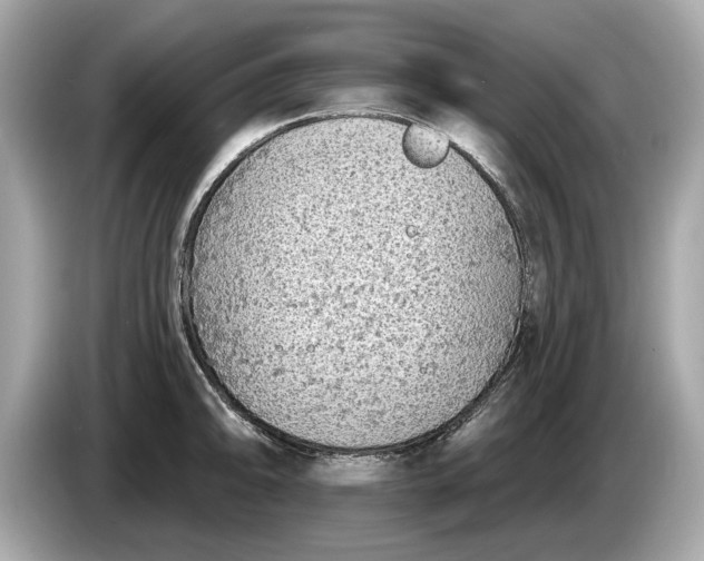 X0000085081094200703191318