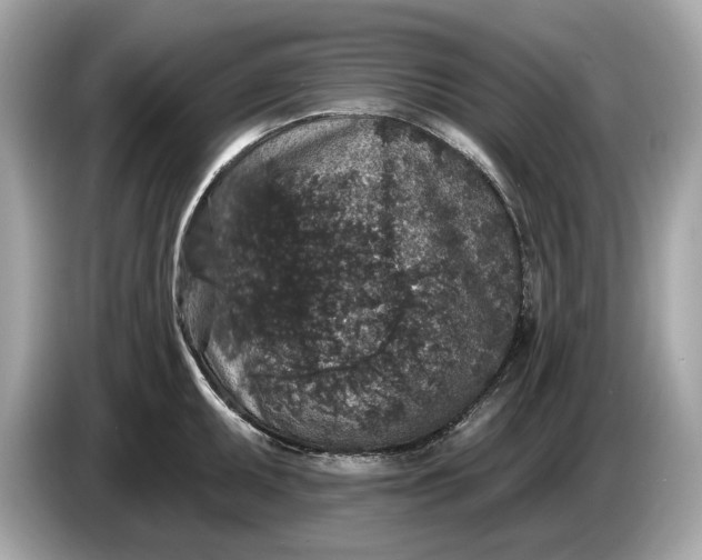 X0000085081095200703191318