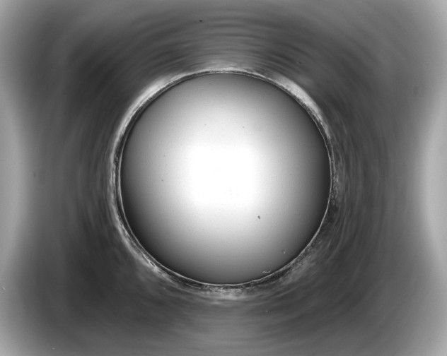 X0000085081096200703191318