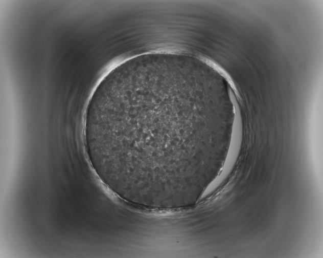 X0000085081099200703191318