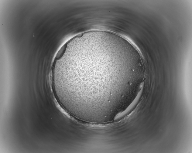 X0000085081100200703191318