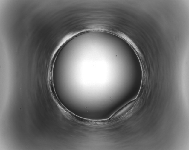 X0000085081101200703191318