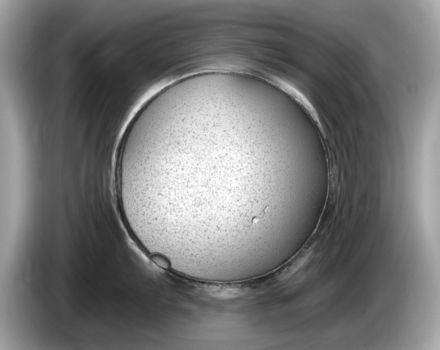 X0000085081103200703191318