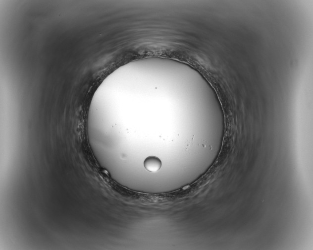 X0000085081109200703191317