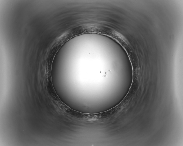 X0000085081111200703191317