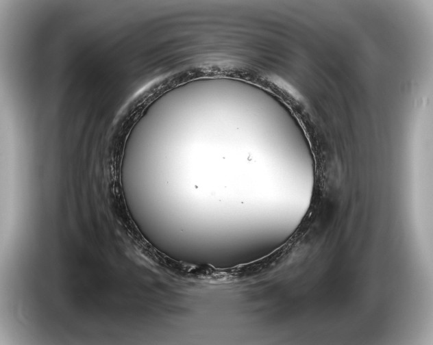 X0000085081112200703191317