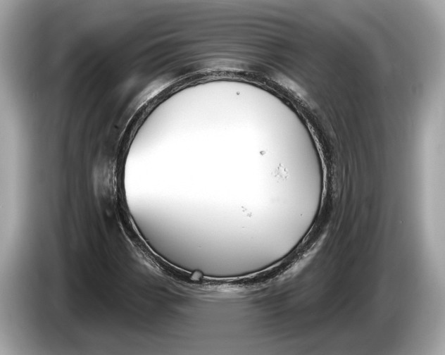 X0000085081113200703191318