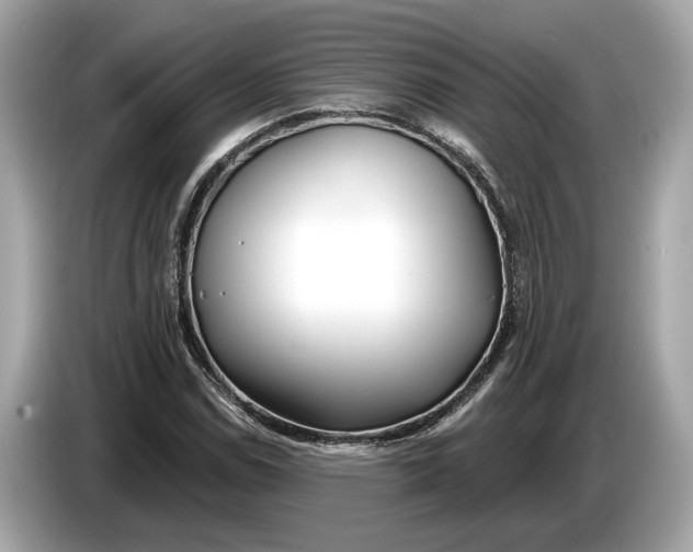 X0000085081114200703191318