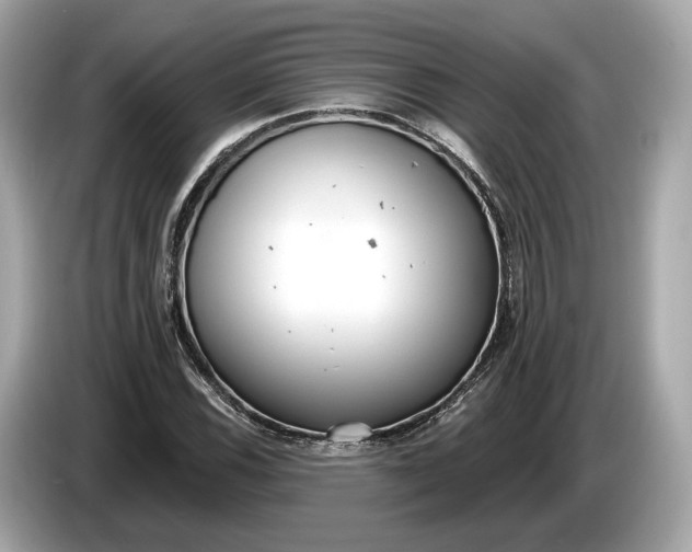 X0000085081116200703191318