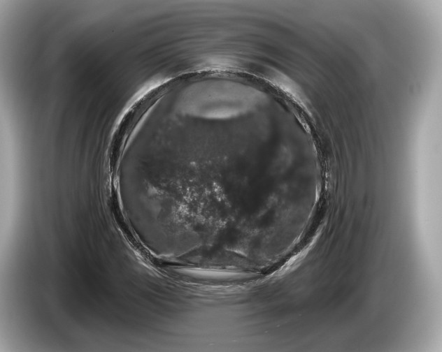 X0000085081117200703191318