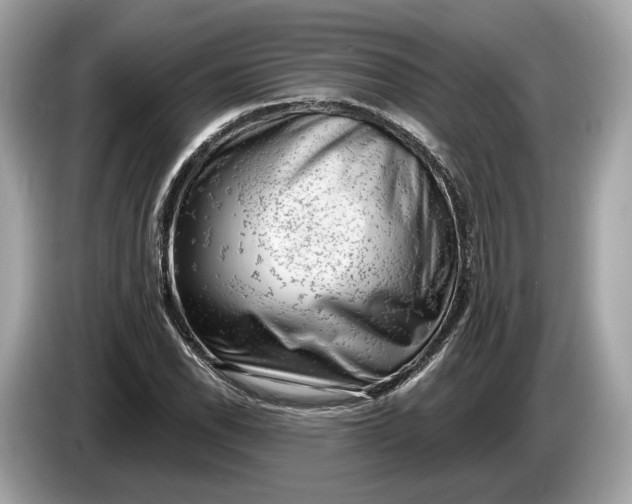 X0000085081118200703191318