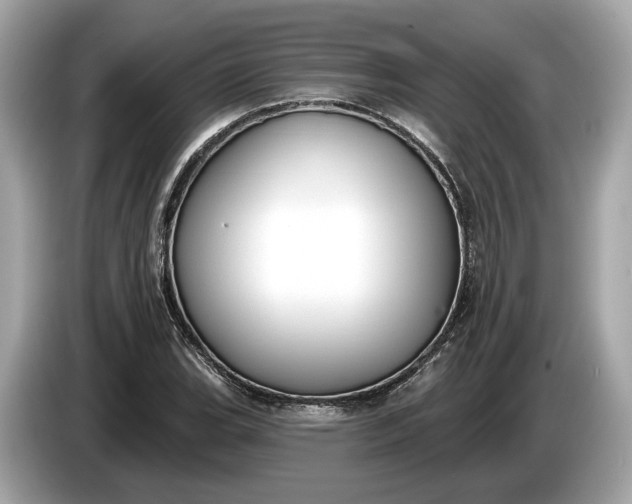 X0000085081119200703191318