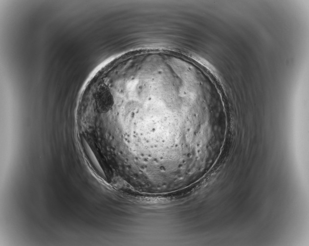 X0000085081120200703191318