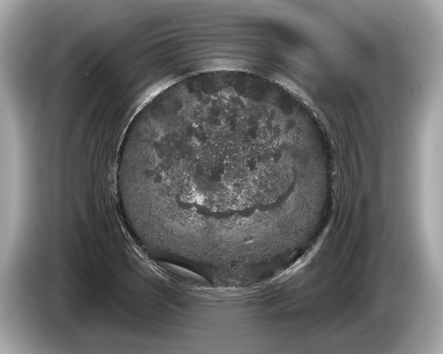 X0000085081121200703191318