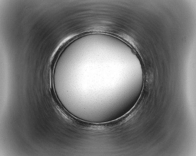 X0000085081123200703191318