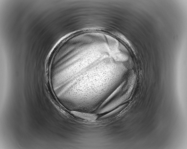 X0000085081124200703191318