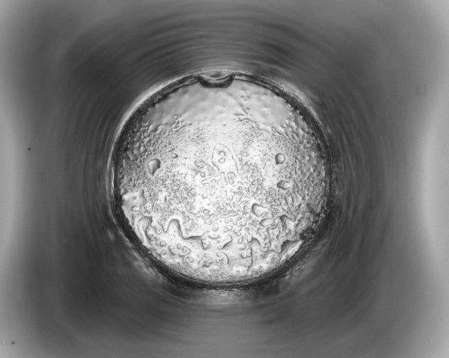 X0000085081125200703191318