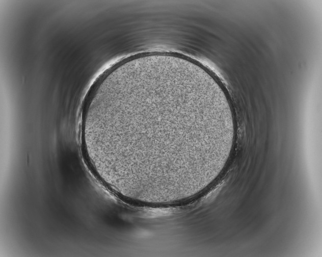 X0000085081126200703191318