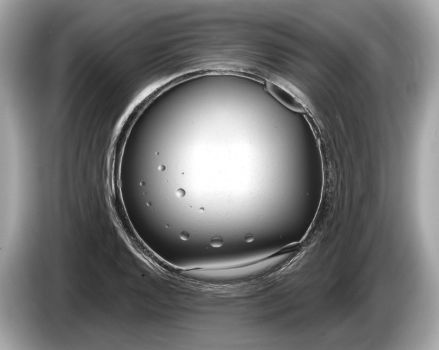 X0000085081128200703191318