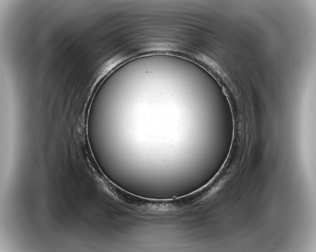 X0000085081129200703191318