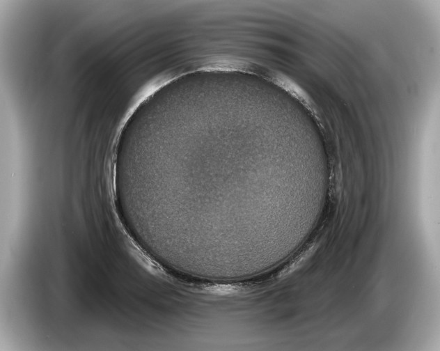 X0000085081130200703191318