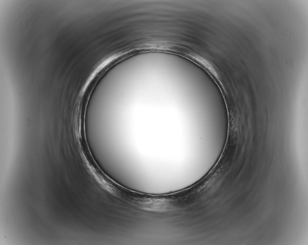 X0000085081131200703191318