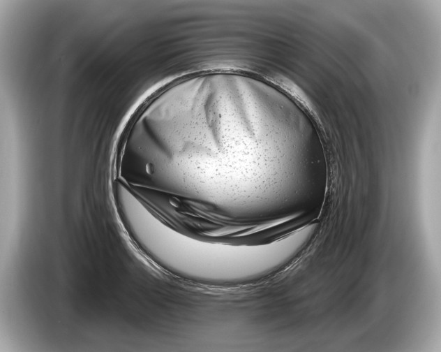 X0000085081132200703191318