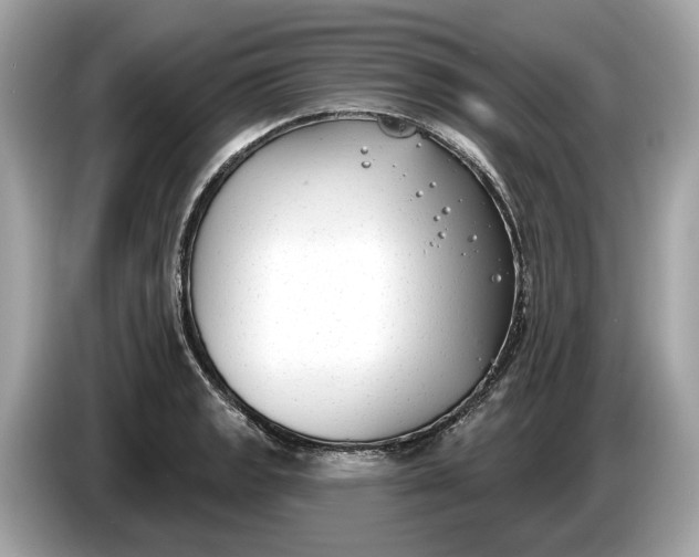 X0000085081133200703191318