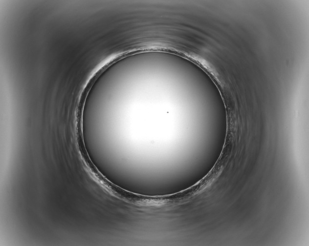 X0000085081134200703191318