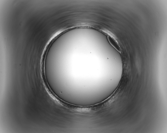 X0000085081135200703191318