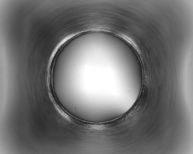 X0000085081136200703191318