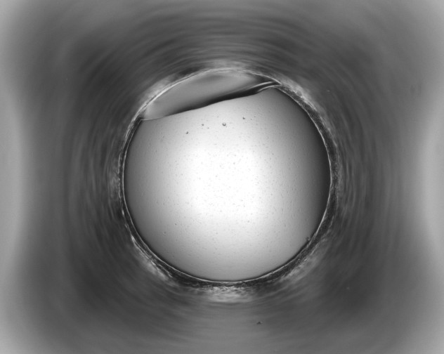 X0000085081137200703191318