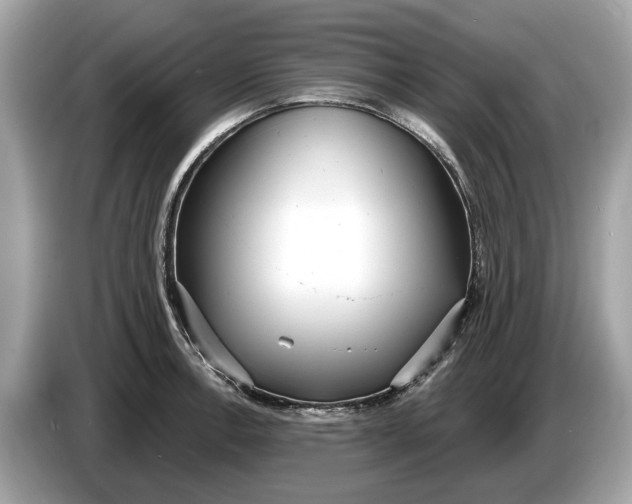 X0000085081138200703191318